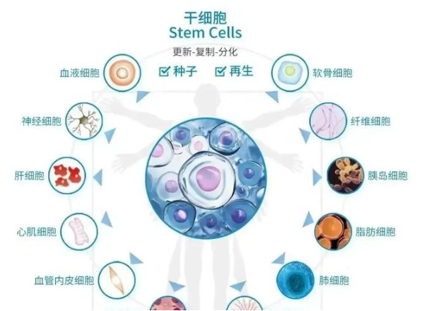 1761969996510645.png image.png