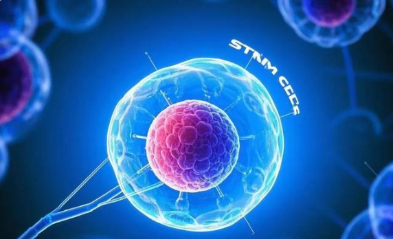 1761970021510809.png image.png