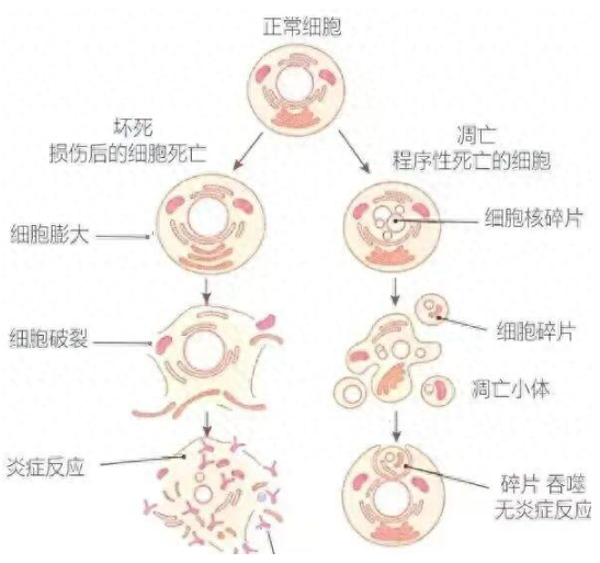 1761970047703475.png image.png