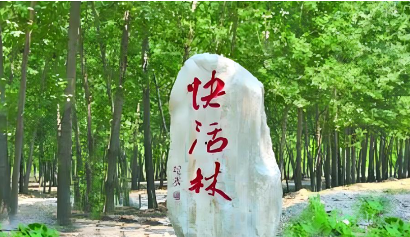 1761982739799479.png image.png