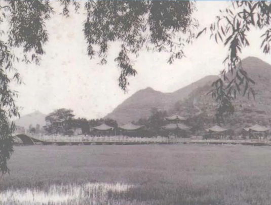 1764913063575812.png image.png