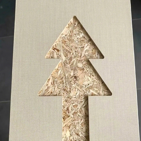 ƤWɰ