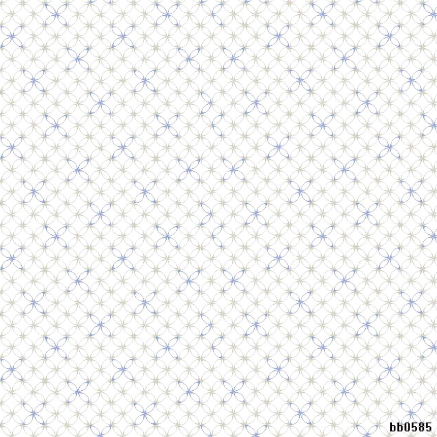 bb0585.jpg