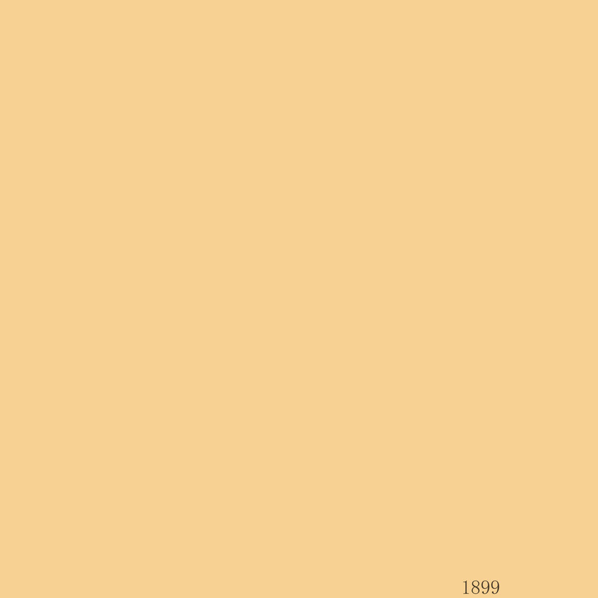 1899.jpg