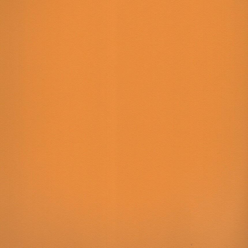 1037.jpg