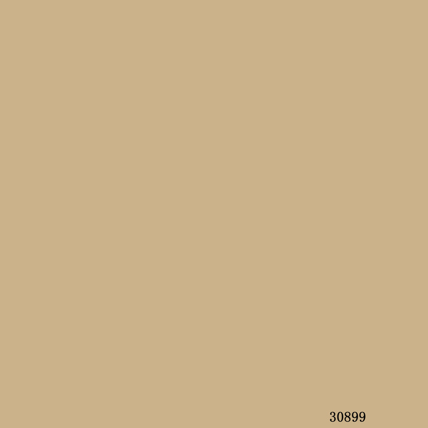 30899.jpg