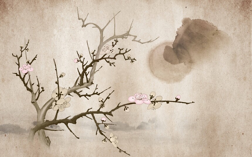 CS052(200x320) (2).jpg