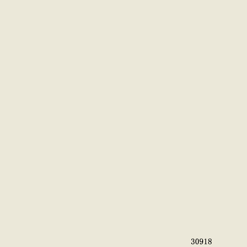 30918.jpg