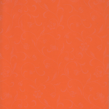 50975-2.jpg