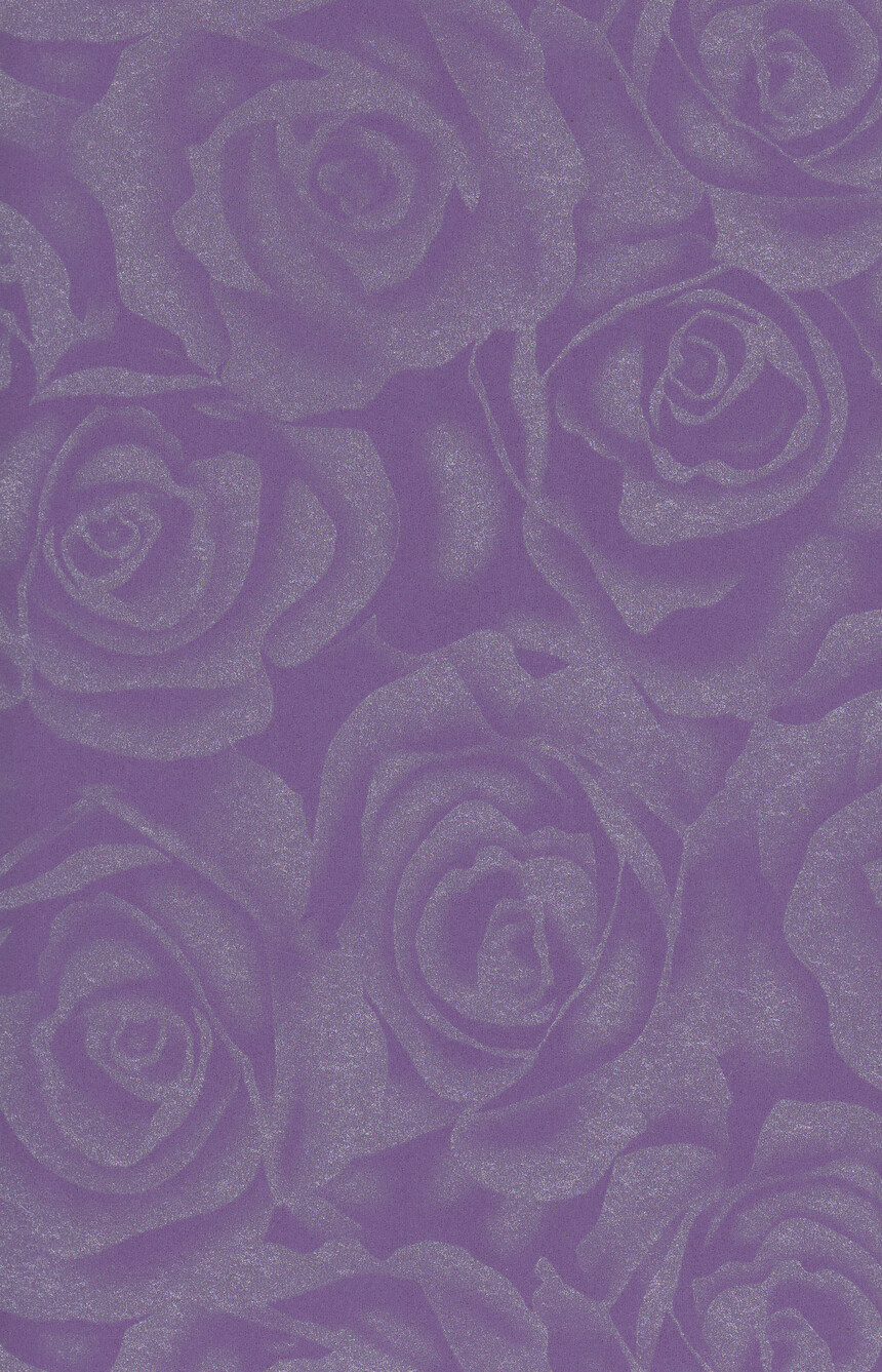 50161-2.jpg