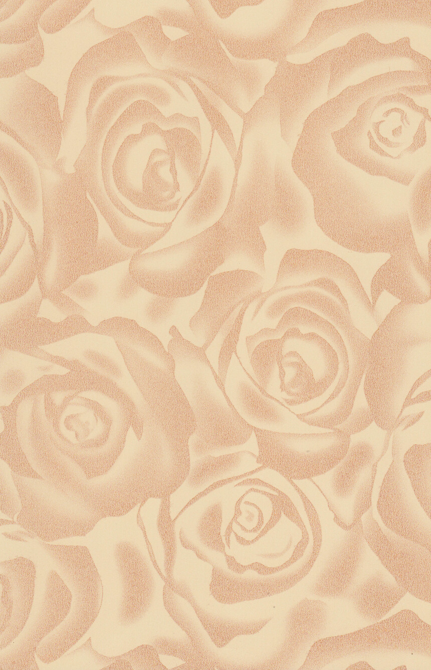 50163-2.jpg