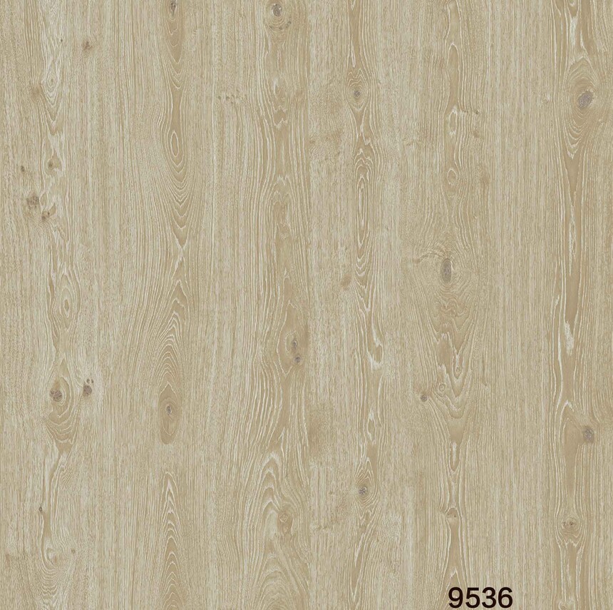 9536.jpg