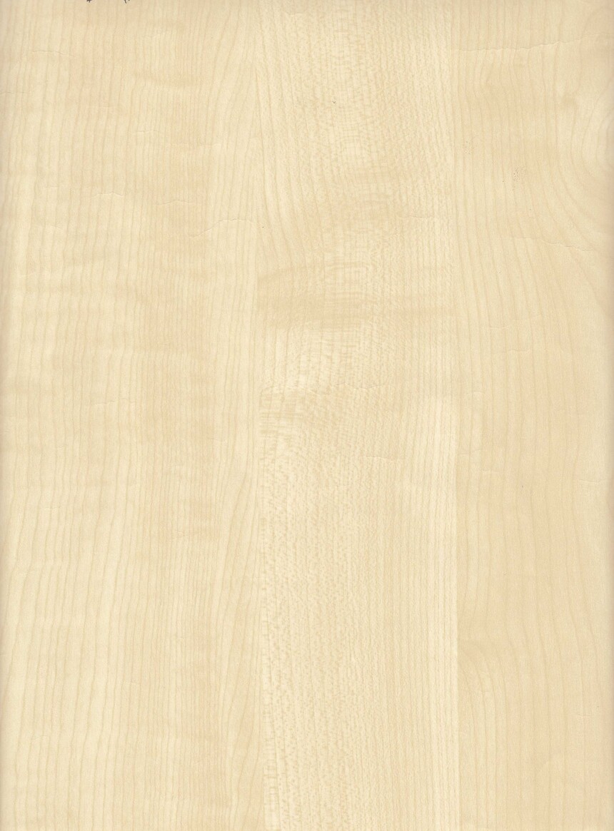 77084.jpg