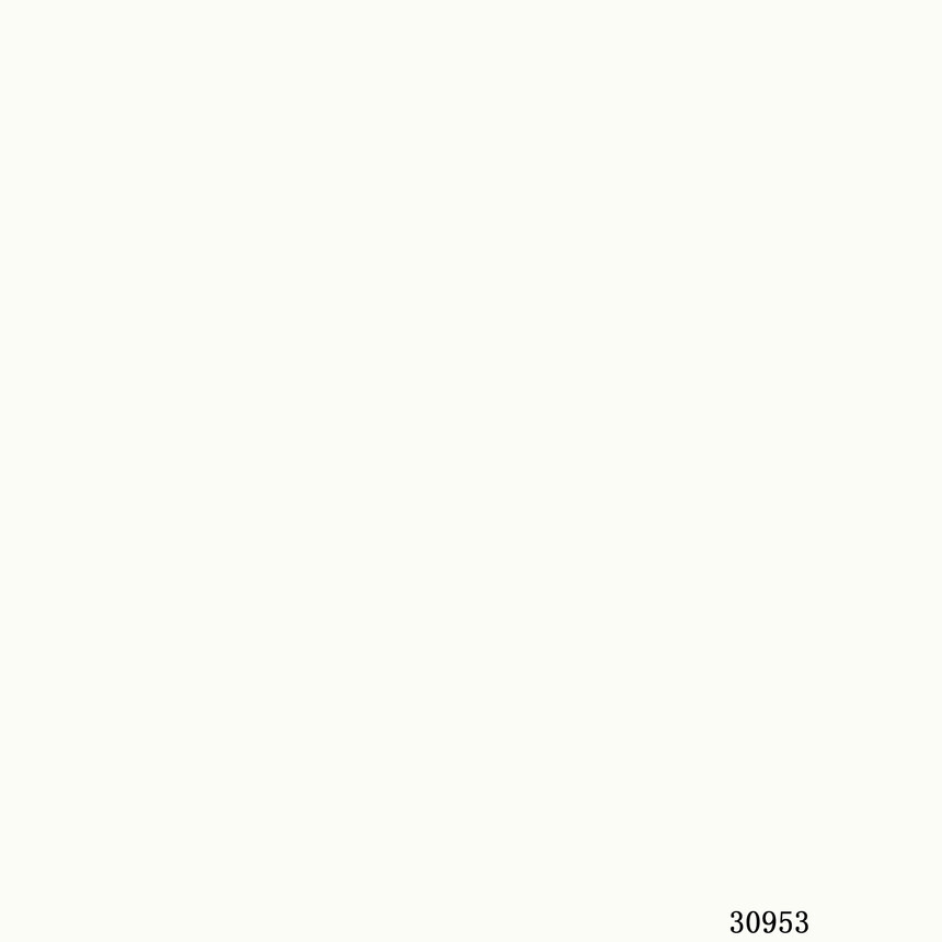30953.jpg