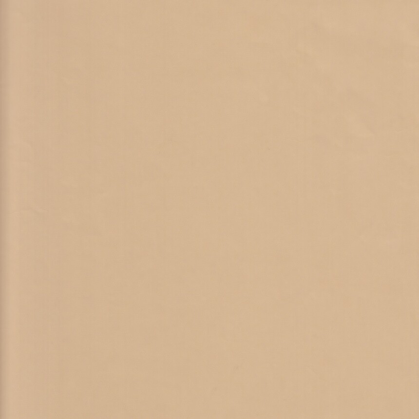 3740.jpg