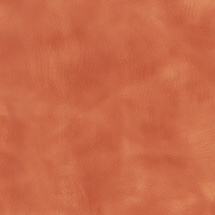 80038-2.jpg