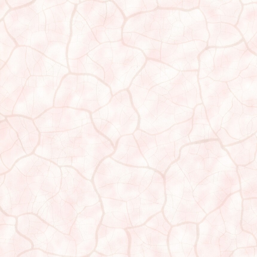 a80051 ƷXD2643-3.jpg