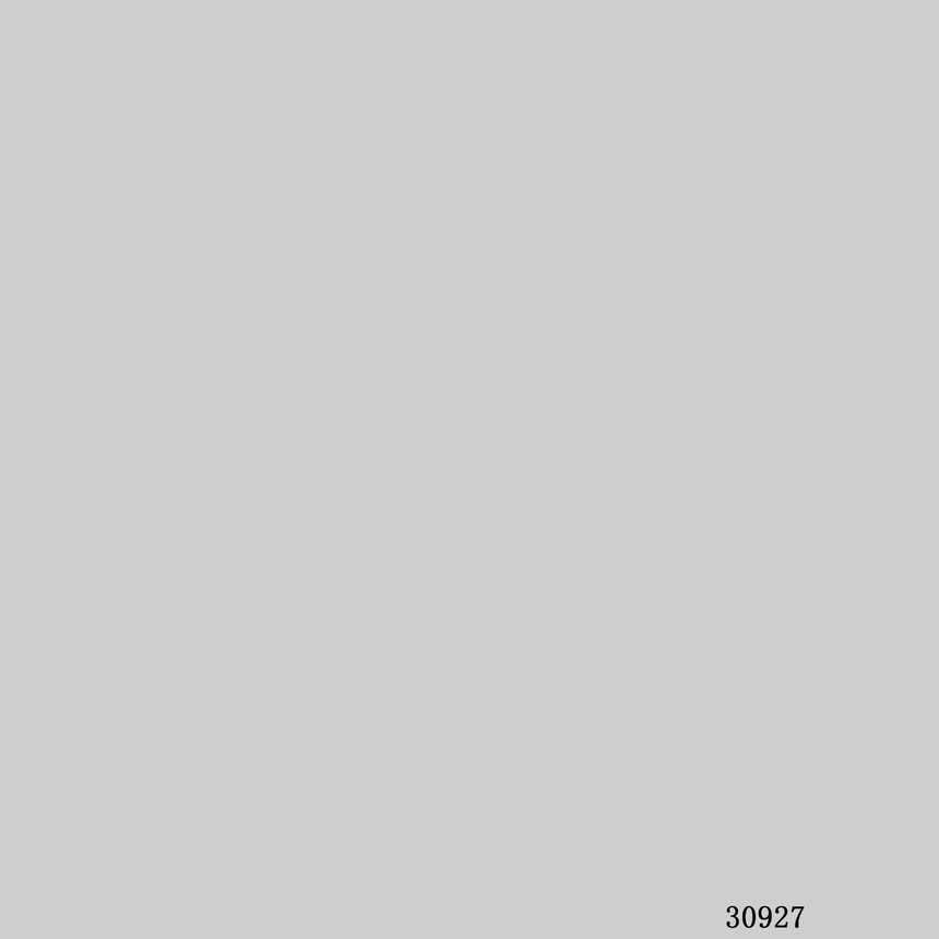 30927.jpg