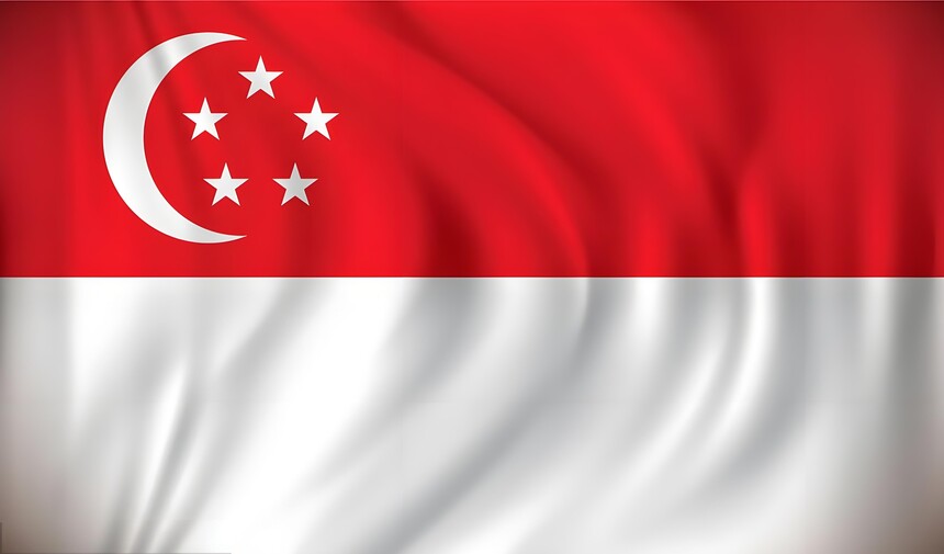 1749370807820187.jpg 新加坡国旗.jpg