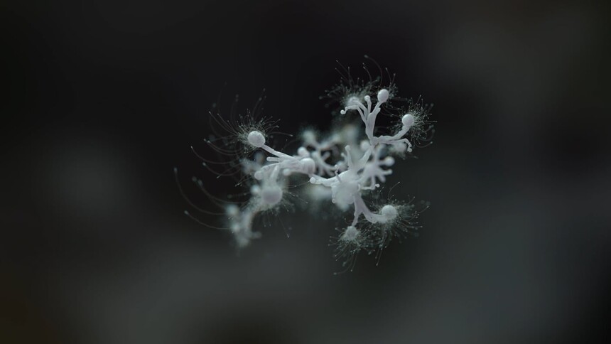 1693565419-20c94fa4924c3f81ae23e475af3b784fa49935f6217dfee2d72e571e5f59fb76-d.jpg