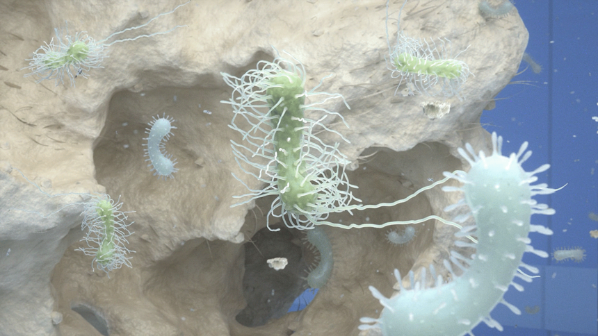 Medical Animation houdini 3D visualization animation _yyth (3).png