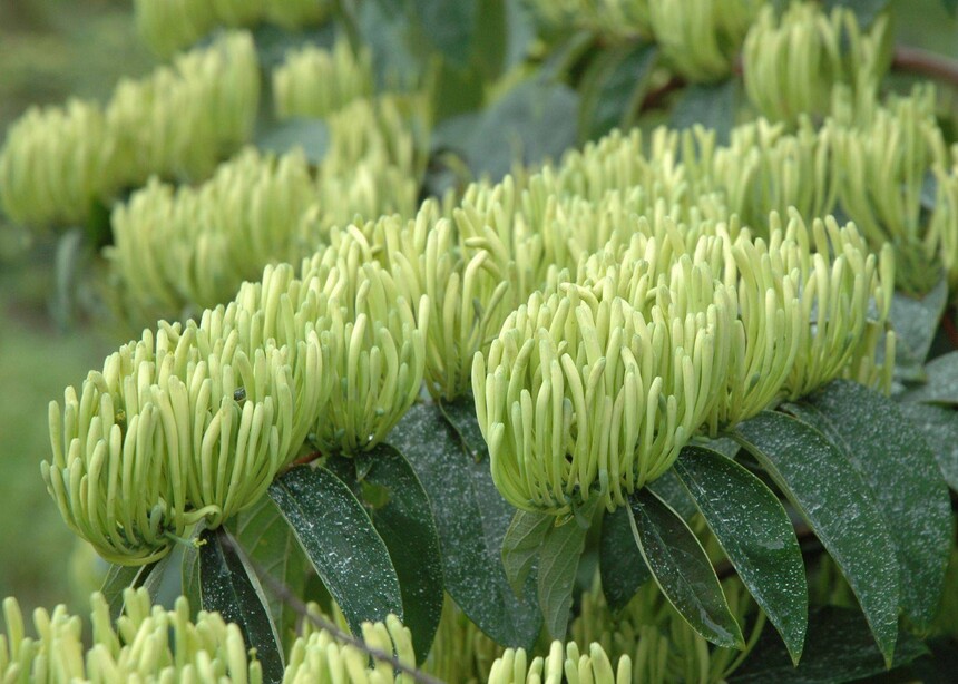 1702446474820260.jpeg 1702446474820260.jpeg