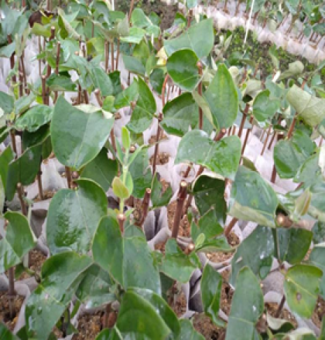 1702446527340960.png 1702446527340960.png