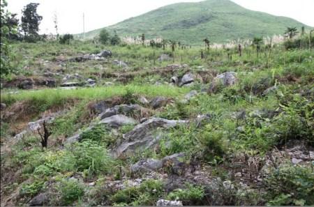 1725371542639009.jpg 半石漠化3.jpg