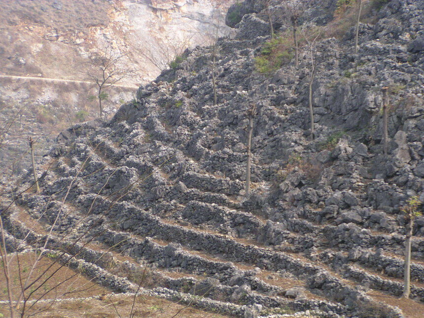 1725371597288668.jpg 1725371597288668.jpg