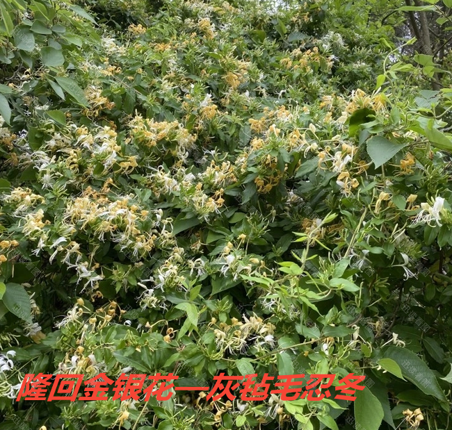 1725371802618977.png 1725371802618977.png