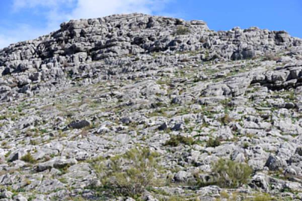 1727101798191627.jpg 石漠化 3.jpg