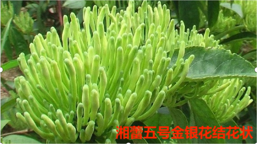 ���ٽ����� ����״.png