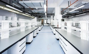 1762410664160353.png image.png