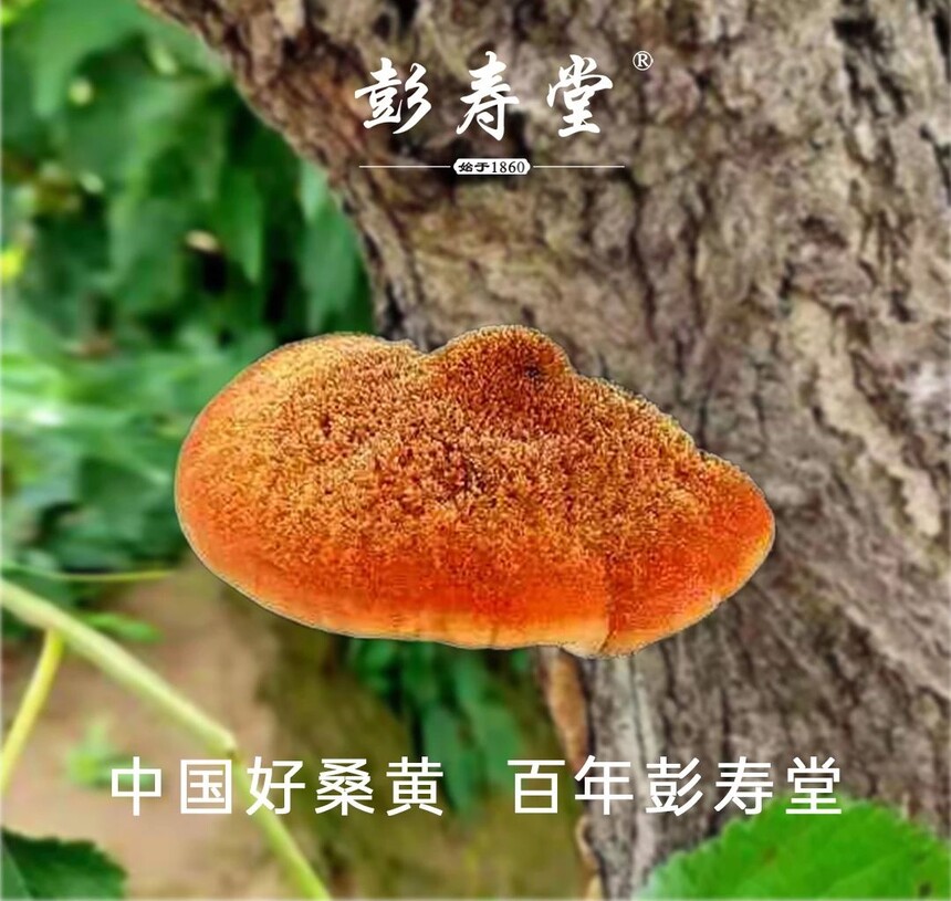 6994257dd8930745f733ba8b6c50929f.jpg