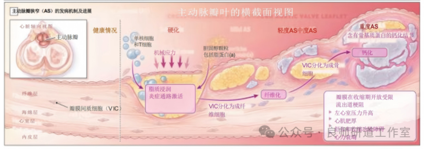 efb073b908e998af97fdfc19720152f1.png