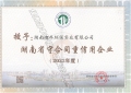 湖南省守合同重信用企业证书202305