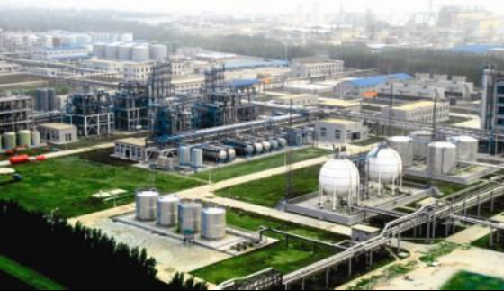 1697792685435437.jpg 1697792679909.jpg