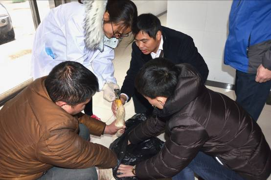 1697981136891479.jpg 1697981131230.jpg