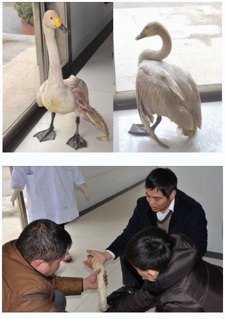 1697981205603982.jpg 1697981187461.jpg