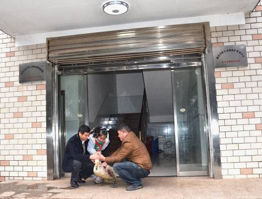 1697981219115119.jpg 1697981214555.jpg