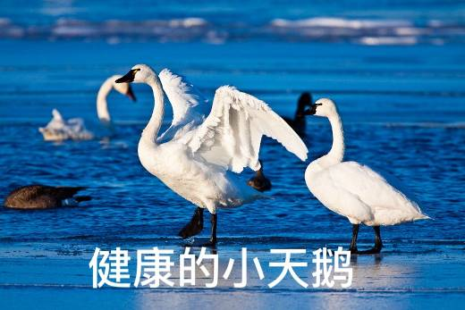 1697981227382367.jpg 1697981223929.jpg