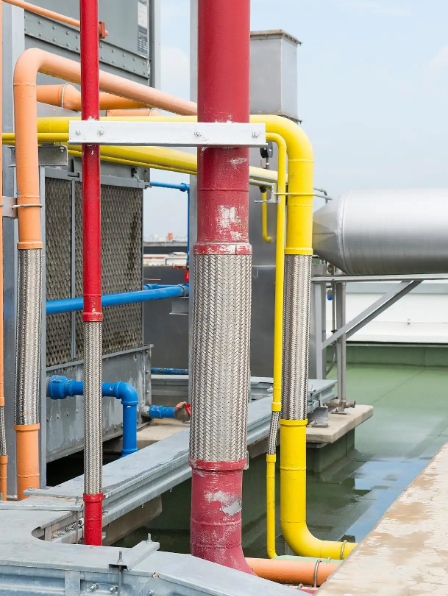 1769048358872535.png image.png