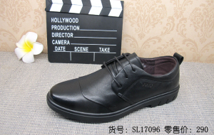 SL17096