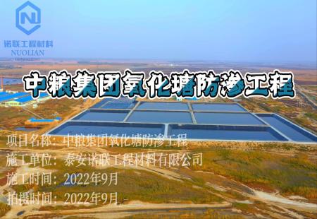 中糧集團氧化塘防滲工程