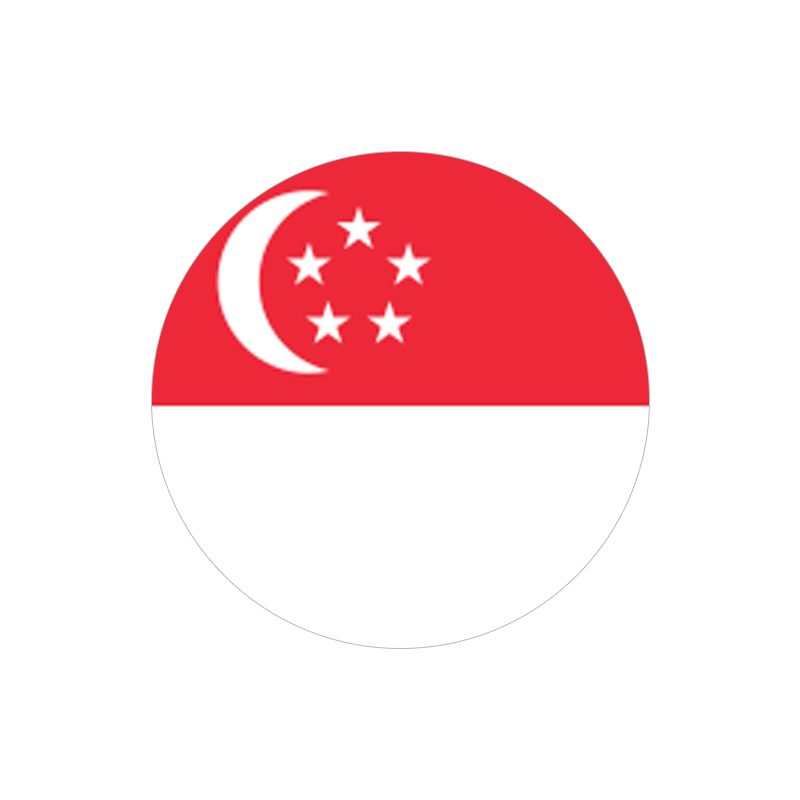 新加坡公司注册