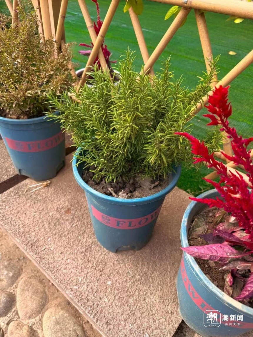 1763536488324063.jpg token=c933062d247b6538b02555ab36079c56.jpg