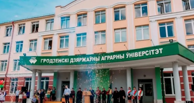 ΢Žͼ_20241030155141.png