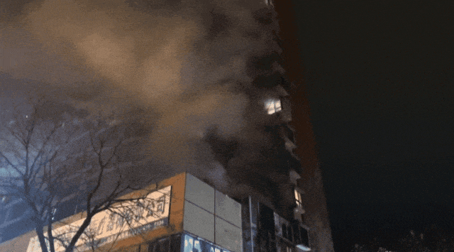 1733127023254974.gif