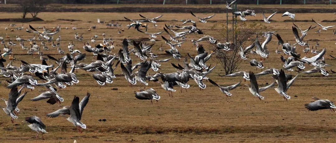 1704850499208935.jpg 1704850499208935.jpg