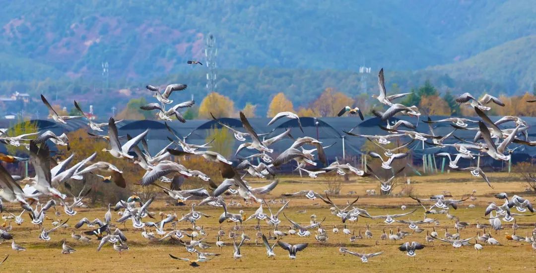 1704850576844848.jpg 1704850576844848.jpg